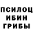 Галлюциногенные грибы Magic Shrooms Bidness 12lve