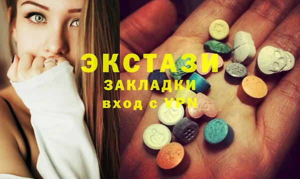 крисы Бородино
