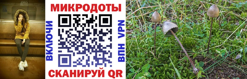 Псилоцибиновые грибы ЛСД  Медногорск 