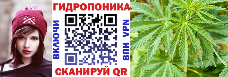 мега рабочий сайт  Медногорск  Канабис ГИДРОПОН 